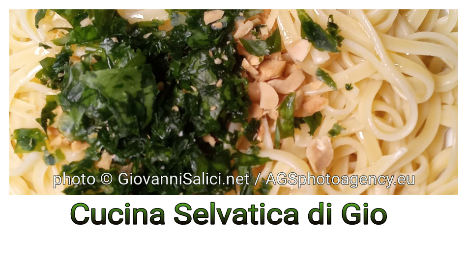 Cucina Selvatica: Allium ursinum, spaghetti al pesto selvatico
